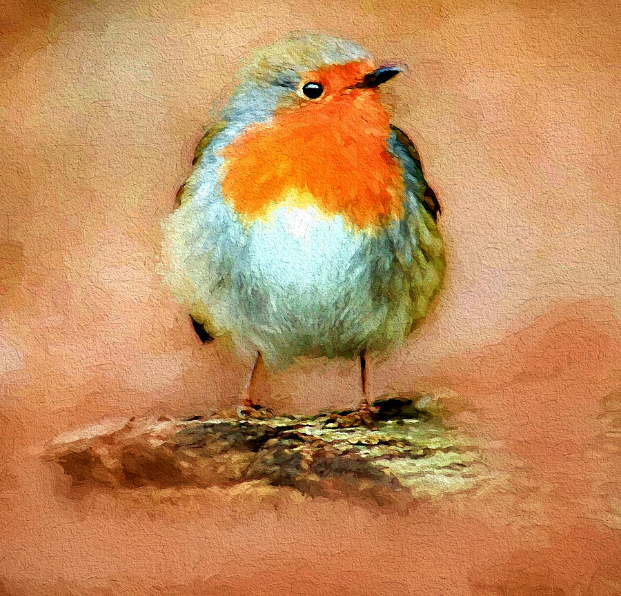 Cute Bird Digital Art by Yury Malkov