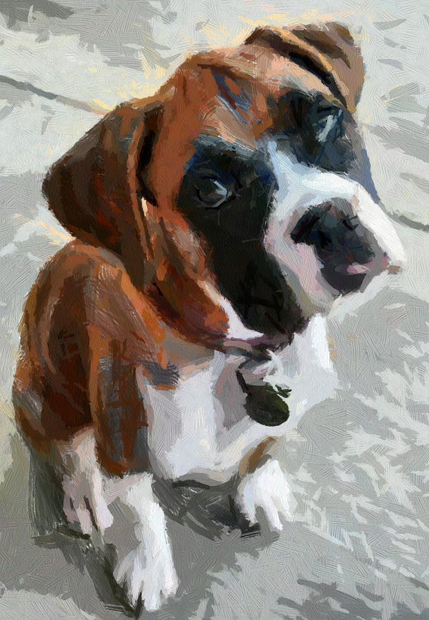 Cute dog Painting by Georgi Dimitrov - Pixels