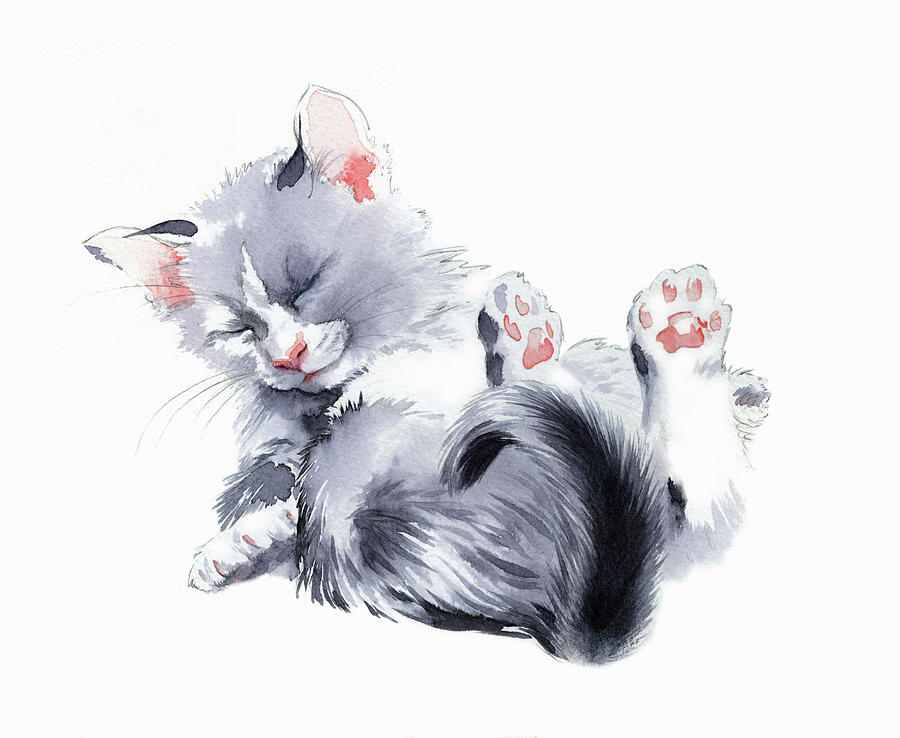 Cute Fluffy Kitten Painting by Ikon Images Cute Fluffy Kitten Painting by Ikon Images