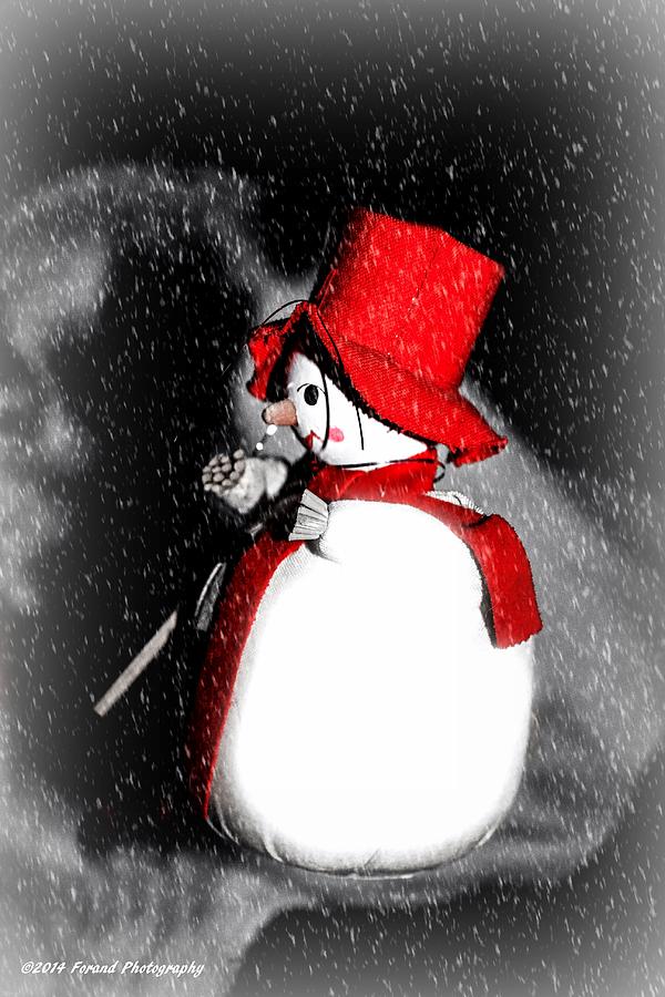 Cute Snowman Photograph by Debra Forand