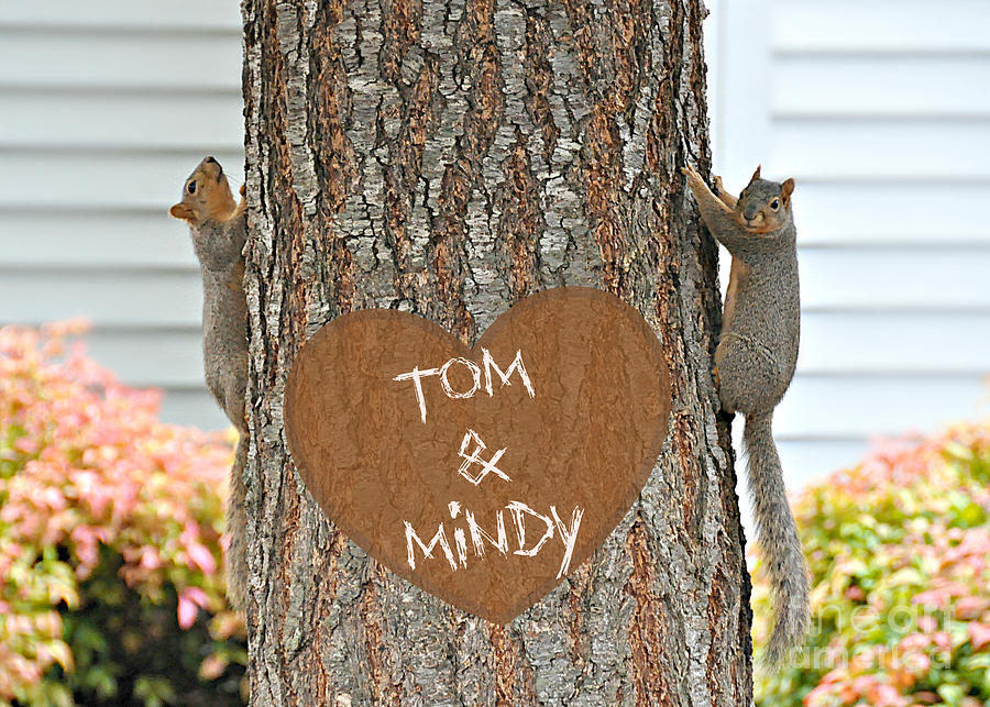 Cute Squirrels Heart on tree Photograph by Mindy Bench