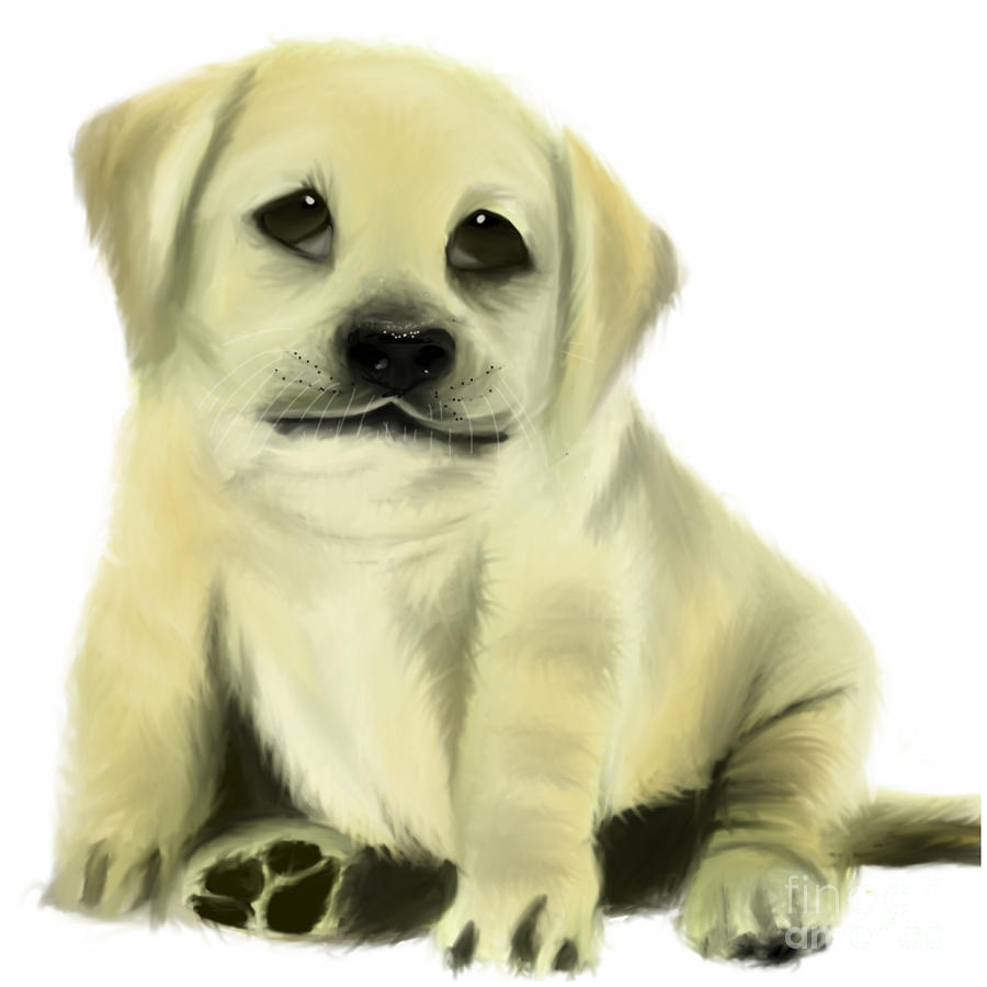 Golden Labrador Retriever Puppy with Doleful Eyes Painting by Barefoot Bodeez Art