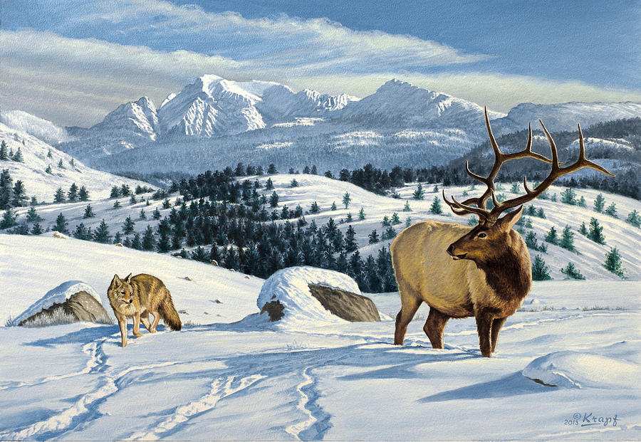 Cutoff Mountain - Elk and Coyote Painting by Paul Krapf - Fine Art America