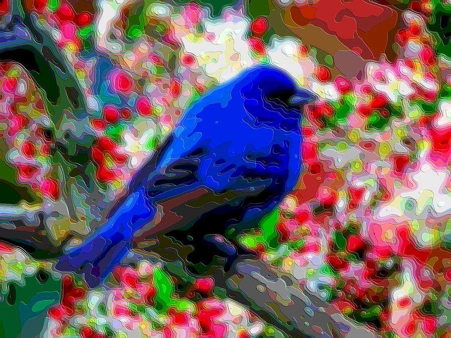 Download Cutout Layer Art Animal Portrait Bird Blue Digital Art by ...