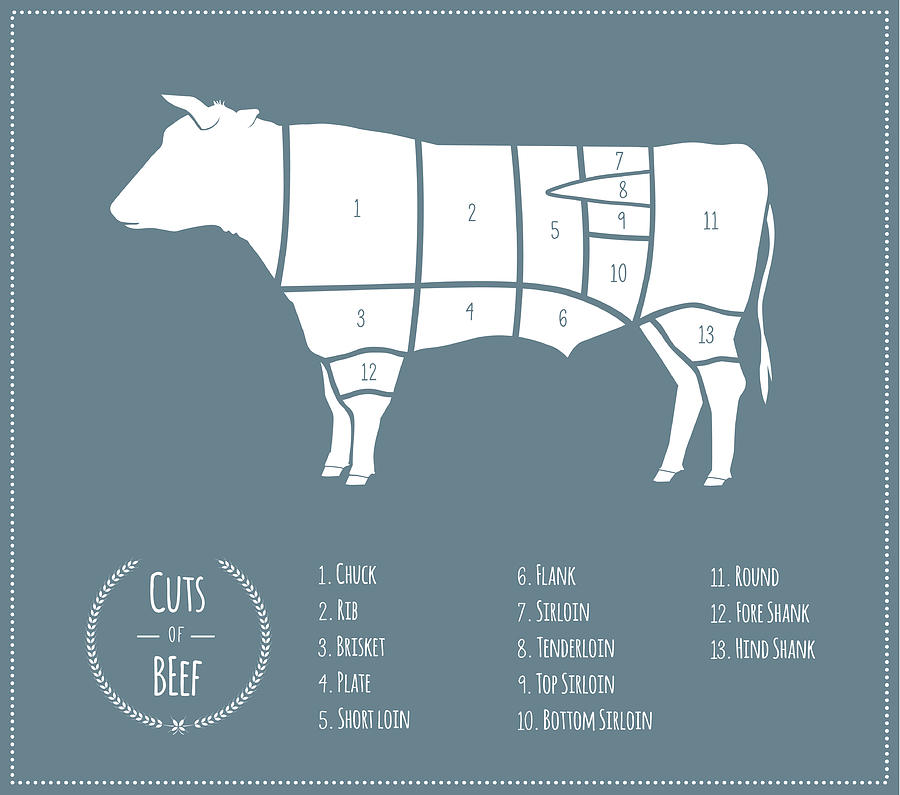 Cuts of Beef [US Chart] Drawing by Wetcake
