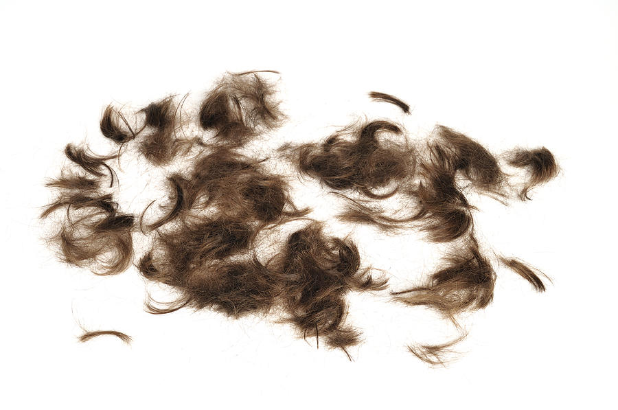 Cutted brown hair Photograph by Matthias Hauser