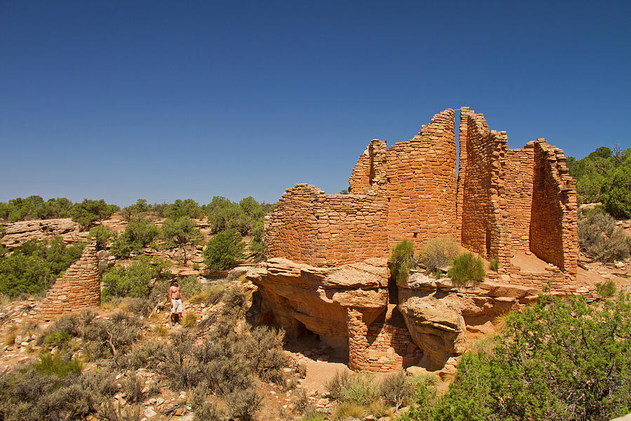 Cutthroat Castle In Canyon Of  Ancients Photograph by Matt Champlin