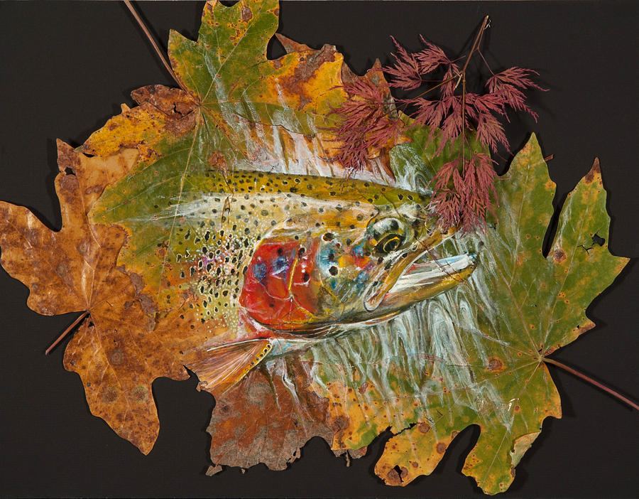Fish Painting - Cutthroat Trout On Maple Leaves by Dalton Art  Studios