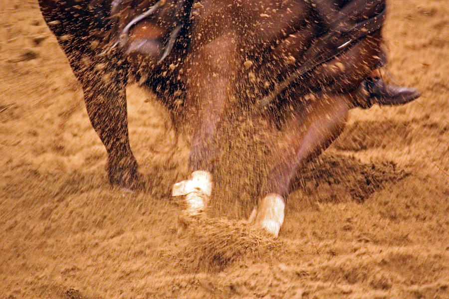 Cutting Horse 7 Photograph by Lynn Sprowl