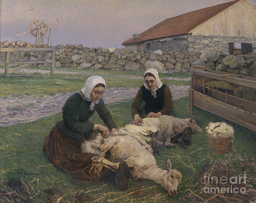 Cutting sheep Painting by Eilif Peterssen