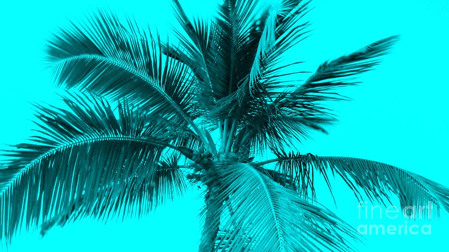 Miami Photograph - Cyan Aqua Palm by Timothy Curtin