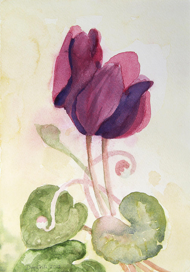 cyclamen 2 study by Kathryn Donatelli cyclamen 2 study by Kathryn Donatelli