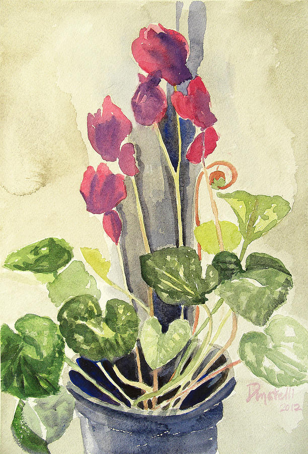 Cyclamen 3 study by Kathryn Donatelli Cyclamen 3 study by Kathryn Donatelli