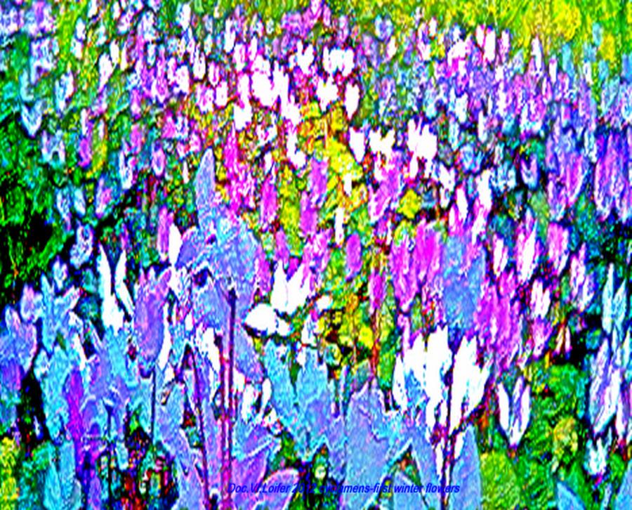 Cyclamens- first winter flowers Digital Art by Dr Loifer Vladimir