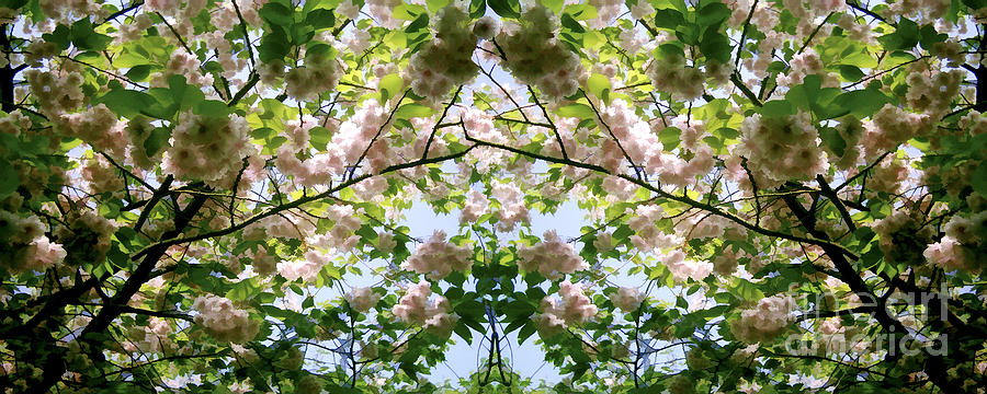 Cycle 3 - Summer by David Hargreaves Cycle 3 - Summer by David Hargreaves