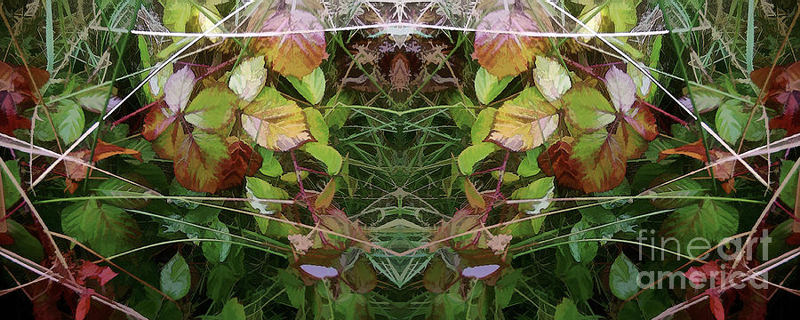 Cycle 4 - Autumn by David Hargreaves Cycle 4 - Autumn by David Hargreaves