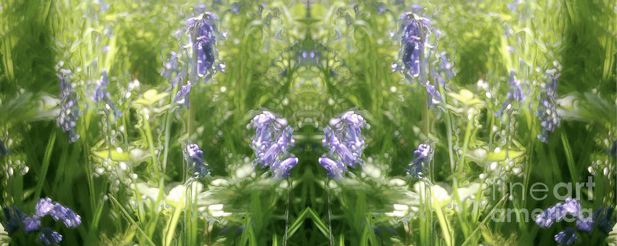 Cycle 2 - Spring by David Hargreaves Cycle 2 - Spring by David Hargreaves