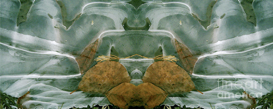 Cycle 1 - Winter by David Hargreaves Cycle 1 - Winter by David Hargreaves