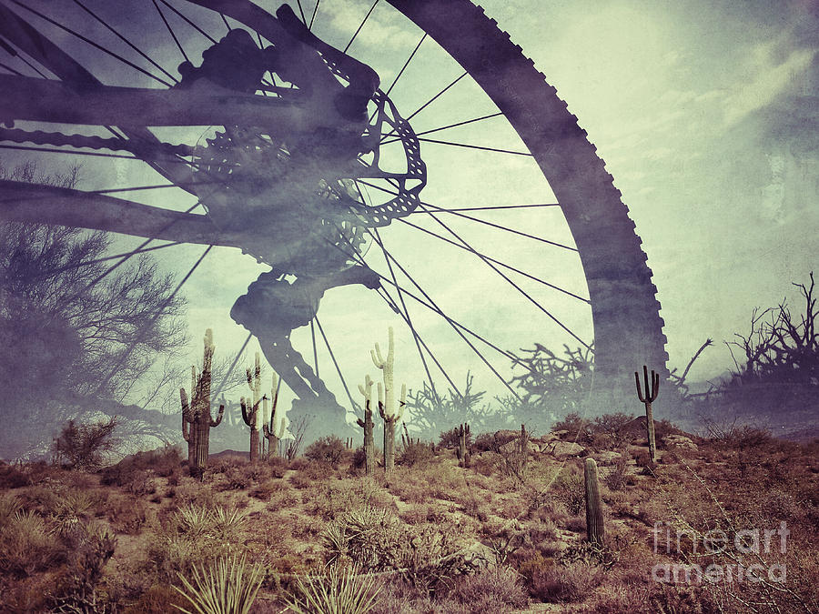 Cycling in the Sonoran Desert Photograph by Marianne Jensen