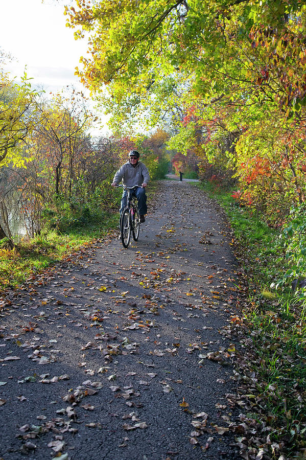 Cyclist In Parkland In Autumn Photograph by Jim West