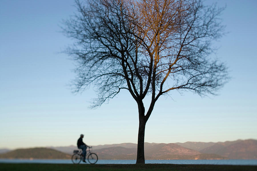 Fall Photograph - Cyclist Riding By Lone Tree Next by Woods Wheatcroft
