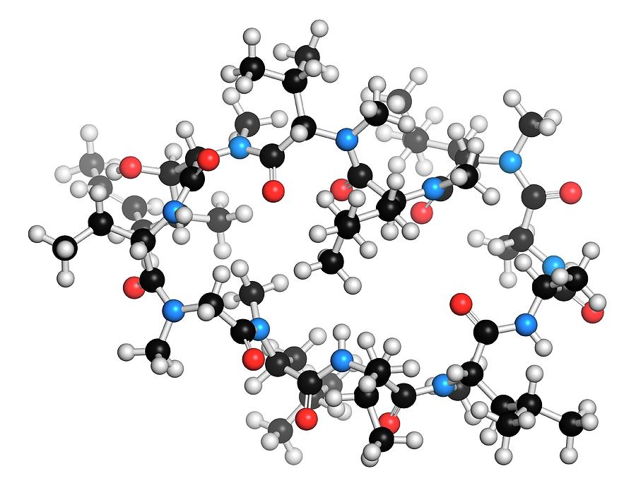 cyclosporine-immunosuppressant-drug-photograph-by-molekuul-fine-art