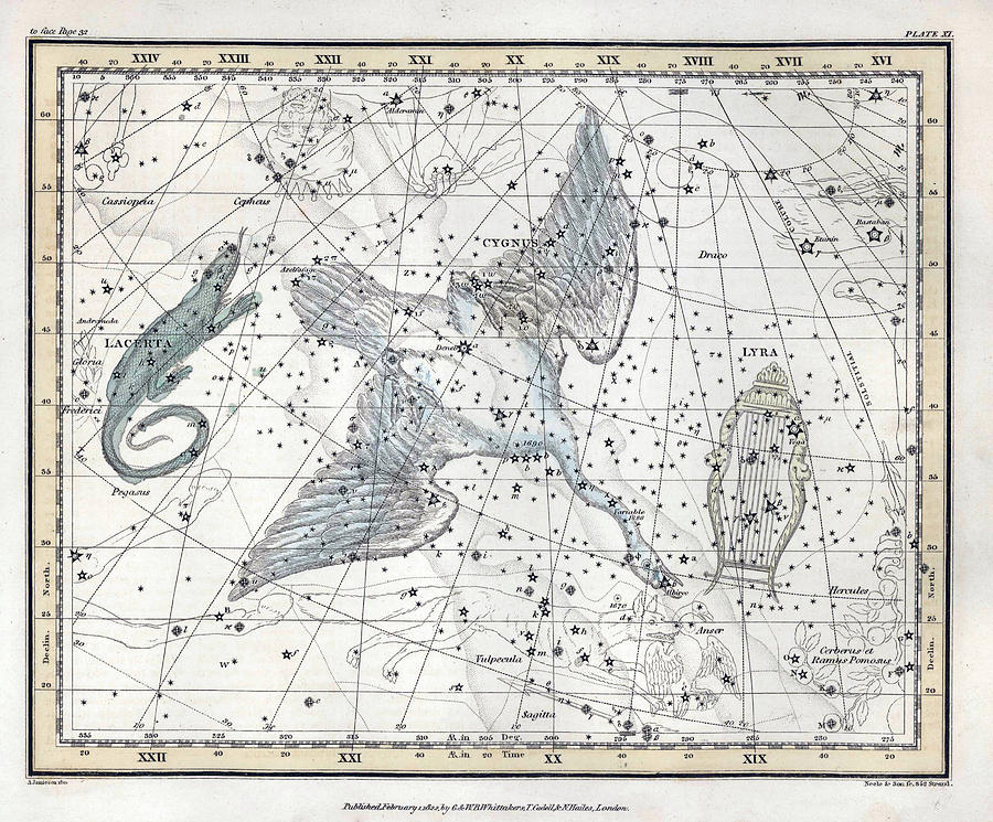 Cygnus Constellation, 1822 Photograph by U.S. Naval Observatory Library
