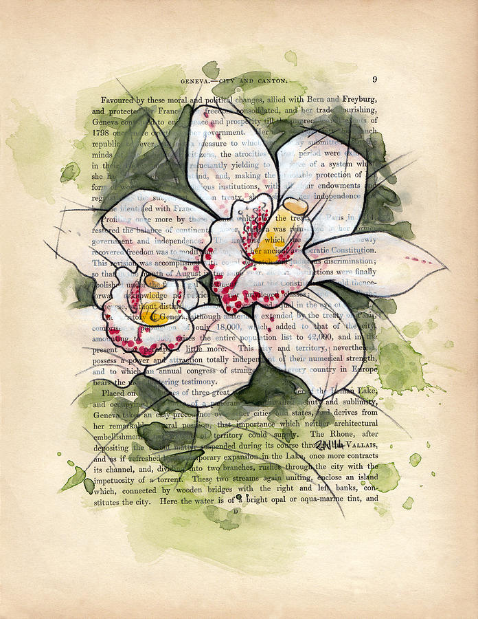 Flower Mixed Media - Cymbidium Flowers by Rudy Nagel