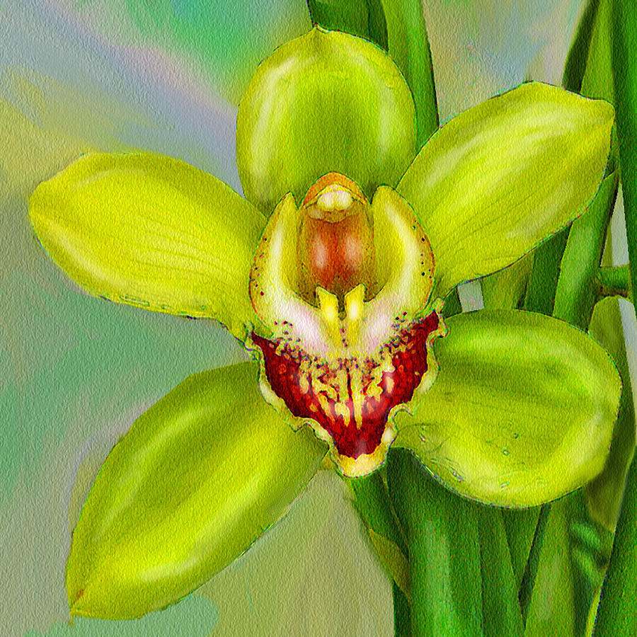 Cymbidium Orchid 2 Digital Art by Jane Schnetlage
