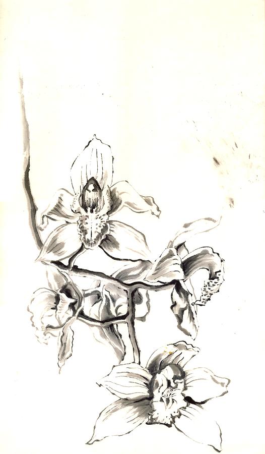 Cymbidium Orchid In Ink Painting by Alfred Ng