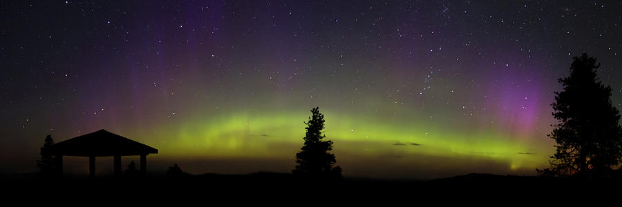 Cypress Hills Northern Lights Photograph by Ian Hennes