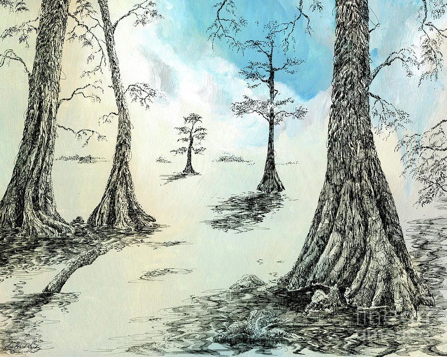 Cypress Drawing - Cypress in Ink by Lizi Beard-Ward