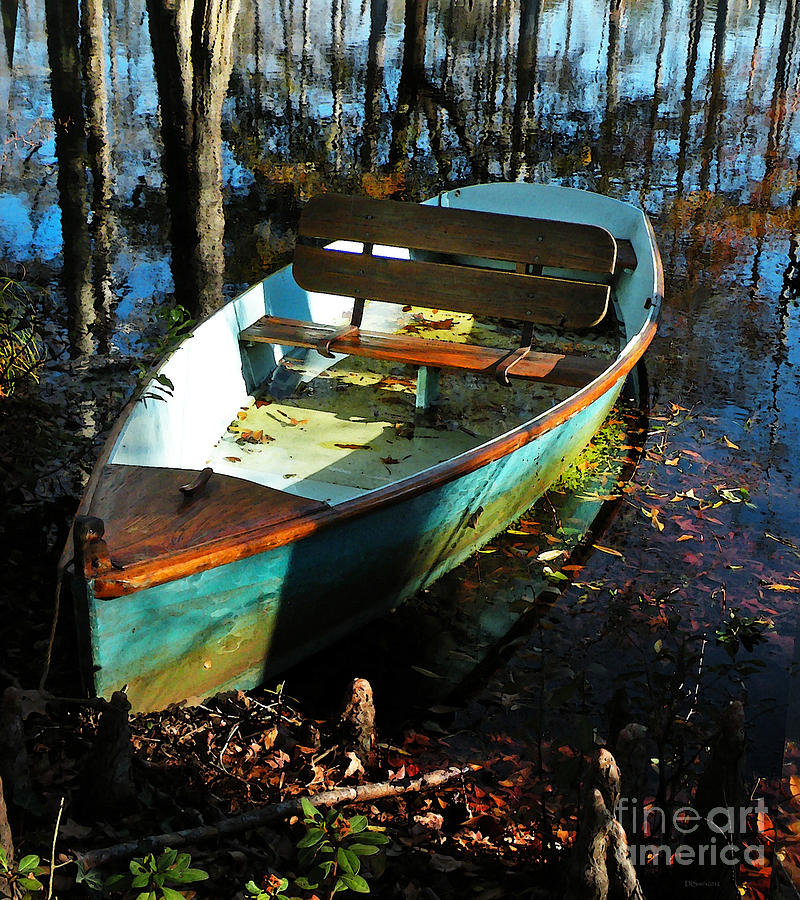 Cypress Lake Boat Photograph by Deborah Smith