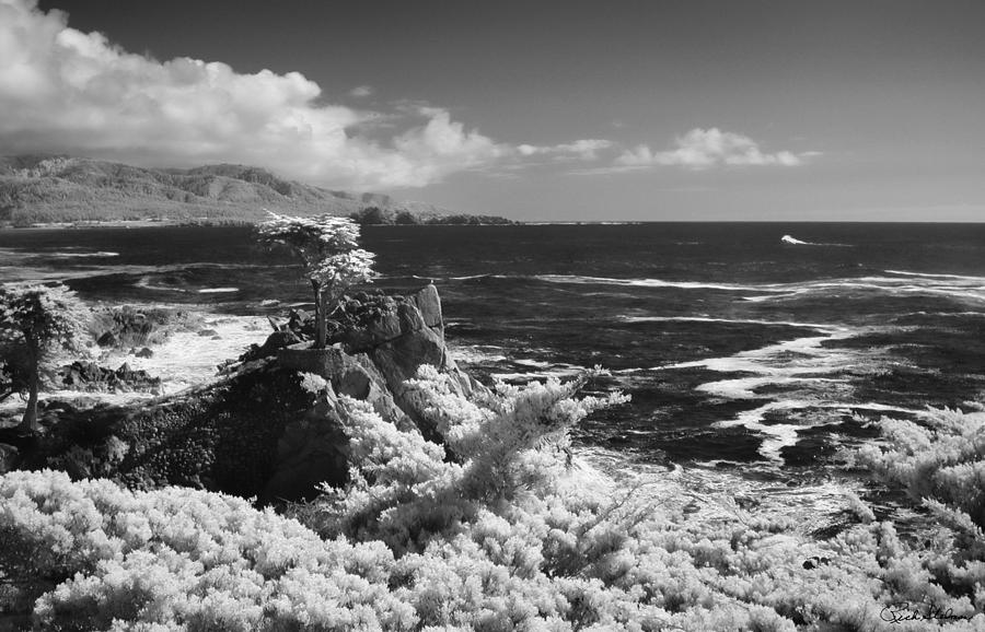 Cypress Point ll Photograph by Richard Stedman