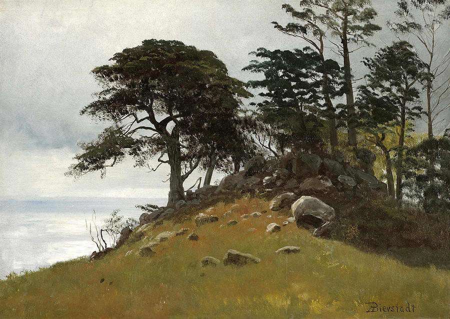 Cypress Point Monterey Painting by Albert Bierstadt