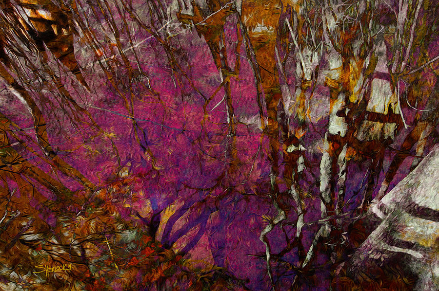 Cypress Swamp Abstract #2 by Alan Sherlock Cypress Swamp Abstract #2 by Alan Sherlock