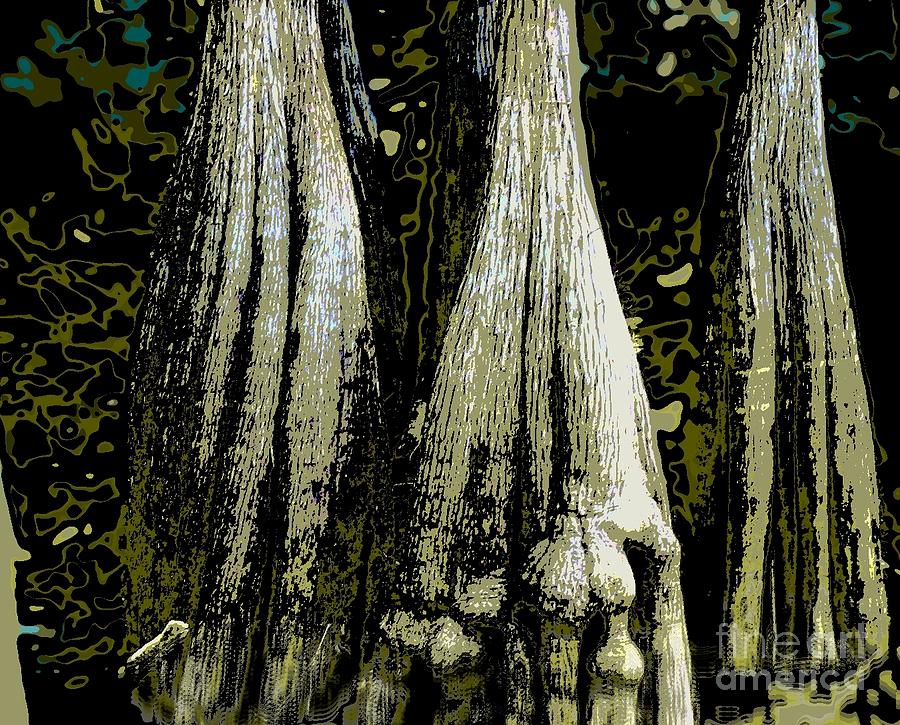 Cypress Three Photograph by Sally Simon