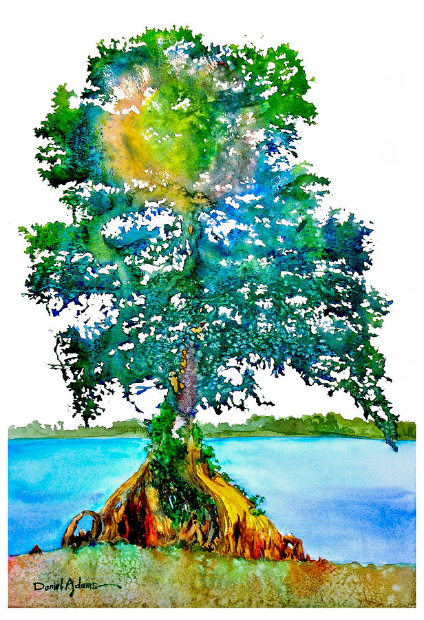  DA107 Cypress Tree Daniel Adams Painting by Daniel Adams