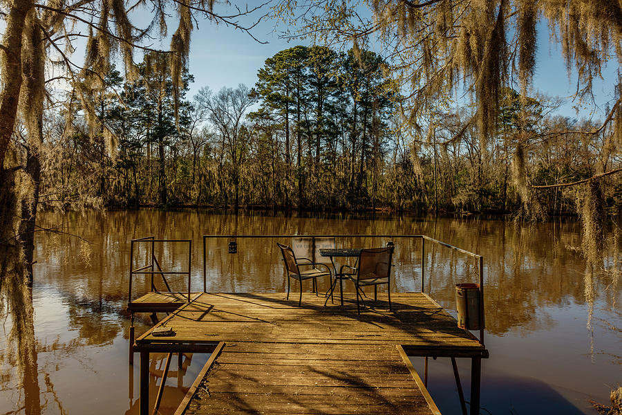 Cypress Trees At Caddo Lake State Park Photograph by Panoramic Images ...