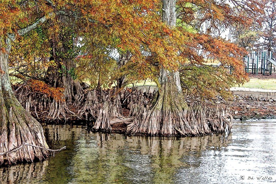 Cypress Trees of Reelfoot Photograph by Bonnie Willis