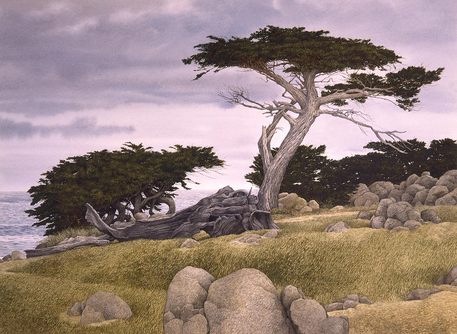 Cypress Wonders Painting by Tom Wooldridge