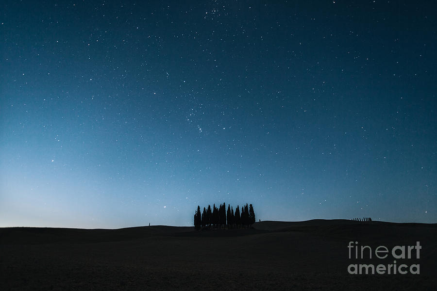 Cypresses under the stars - Tuscany Photograph by Matteo Colombo