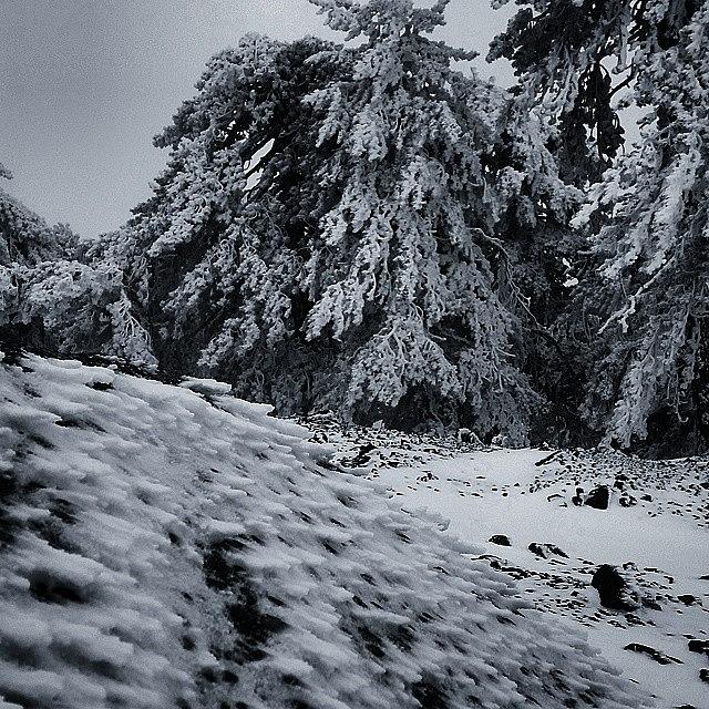 Mountain Photograph - #cypriot #winter #landscape #scene by Mario Koureas