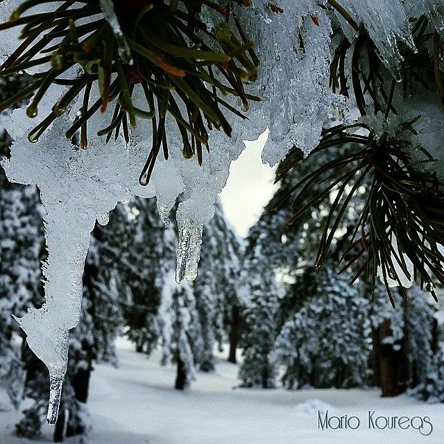 Mountain Photograph - #cypriot #winter #scene #icicles #snow by Mario Koureas