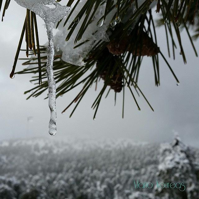 Mountain Photograph - #cypriot #winter #scene #snow #icicles by Mario Koureas