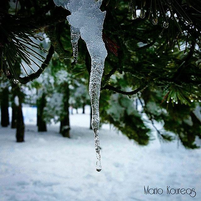 Mountain Photograph - Delicate Cold by Mario Koureas