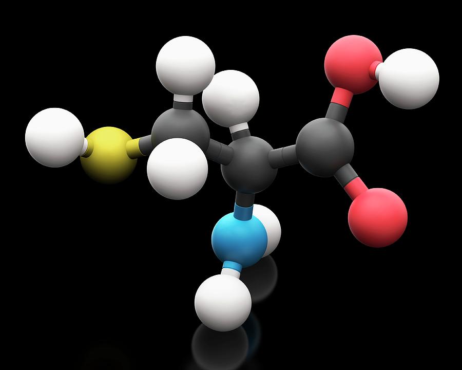 Cysteine Amino Acid Molecule by Carlos Clarivan/science Photo Library