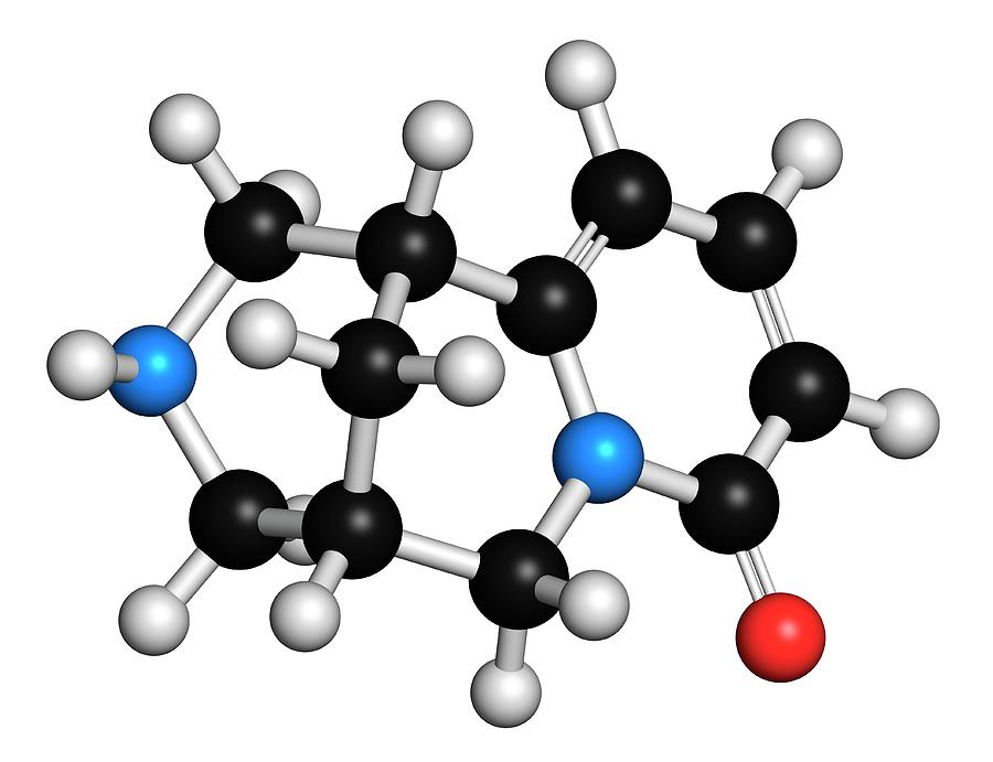 Cytisine Smoking Cessation Drug Molecule Photograph By Molekuul Fine Art America 6175