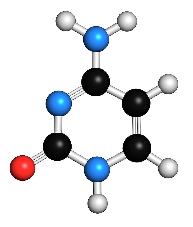 Cytosine Photograph - Cytosine Pyrimidine Nucleobase Component by Molekuul