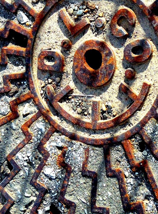 D L Co Manhole Cover Photograph by Mary Beth Landis